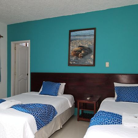 Hotel La Gran Tortuga - ᯤ Starlink Puerto Villamil Exteriör bild